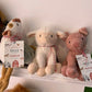 BESPOKE Adopt a Creature Set