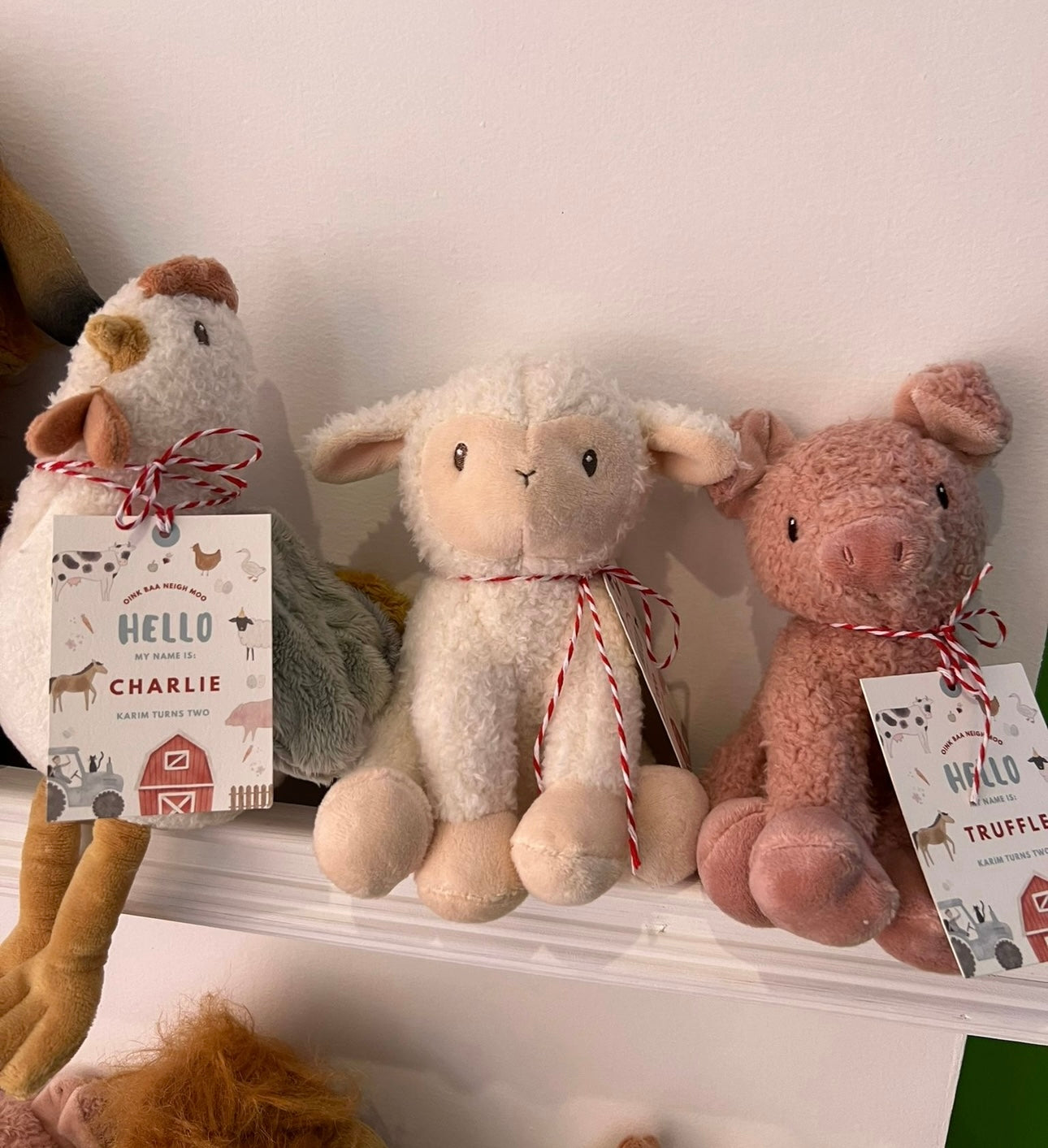 BESPOKE Adopt a Creature Set