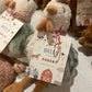 BESPOKE Adopt a Creature Set